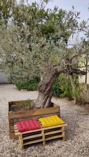 Les figues et les cigales